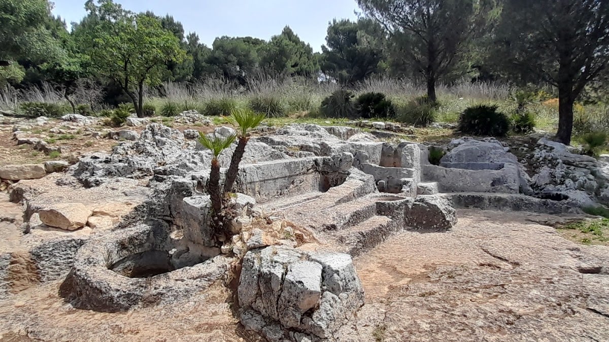 Palmento Greco