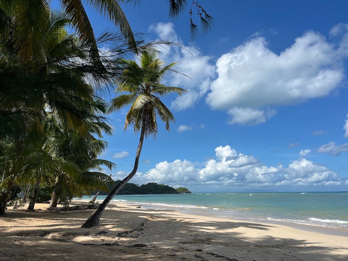 Playa Las Ballenas