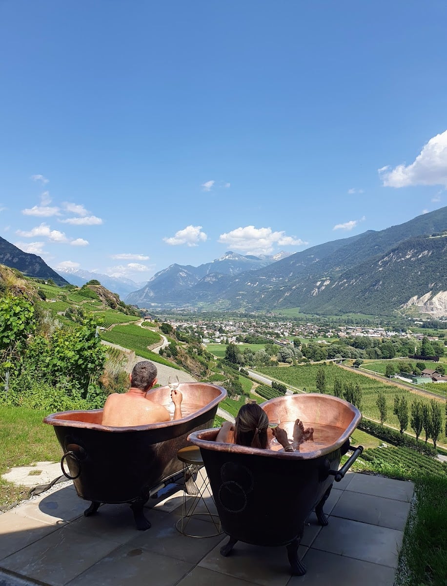 La Vigne - Swiss Wine Therapy | Sion