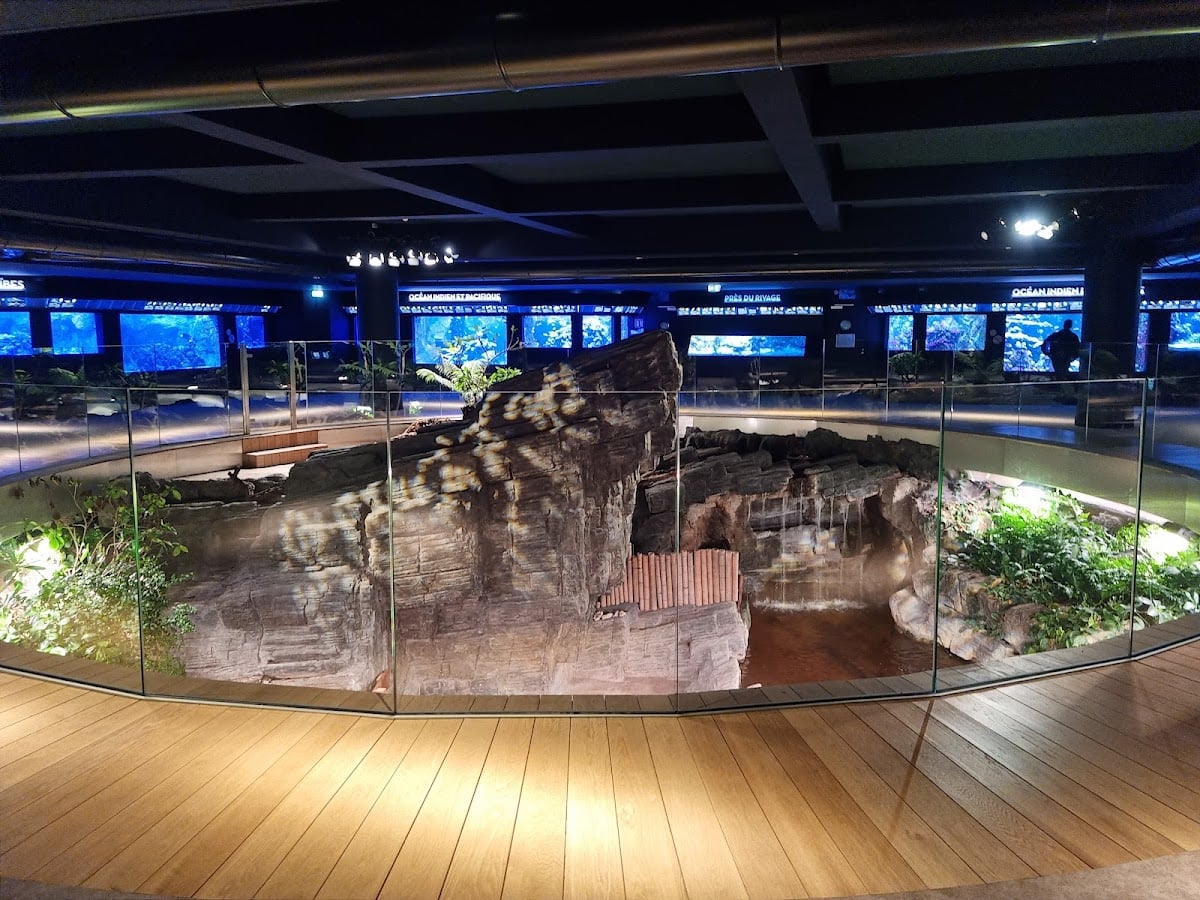 Aquarium Tropical