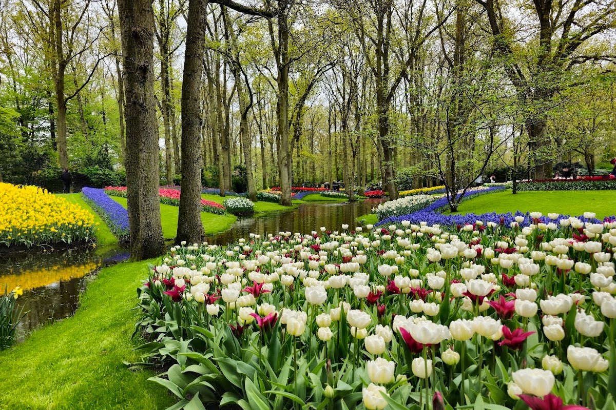 Keukenhof