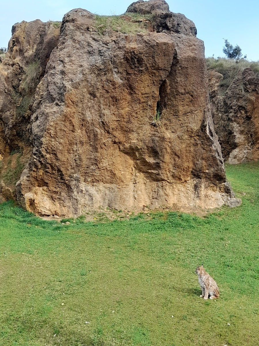 Cabárceno