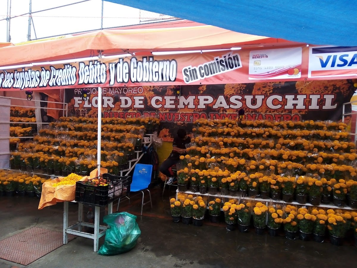 Mercado Coyoacán