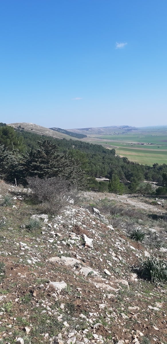 Bosco di Acquatetta