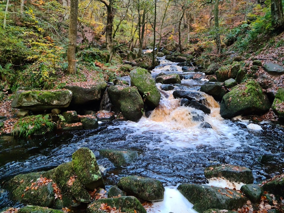 Padley Gorge