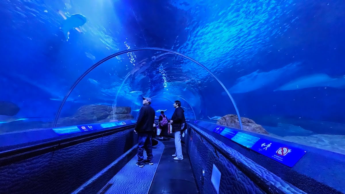 Shanghai Ocean Aquarium 