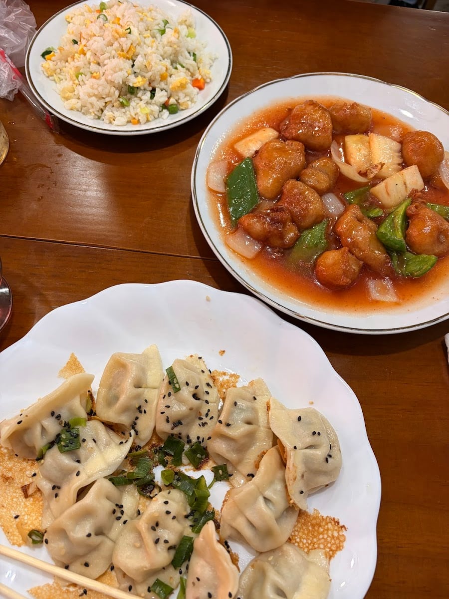 Sabor da China - Melhor Gyoza da vida - Aceita VR