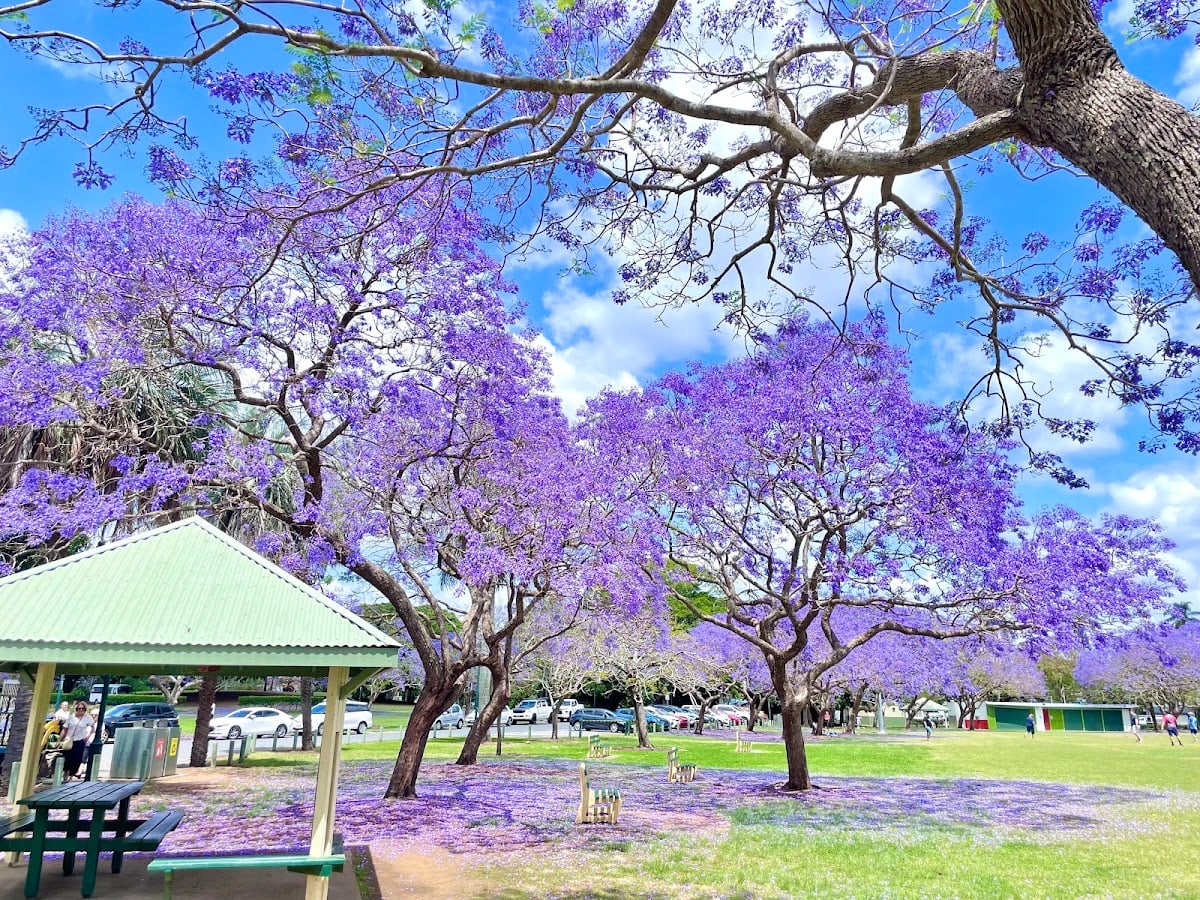 New Farm Park