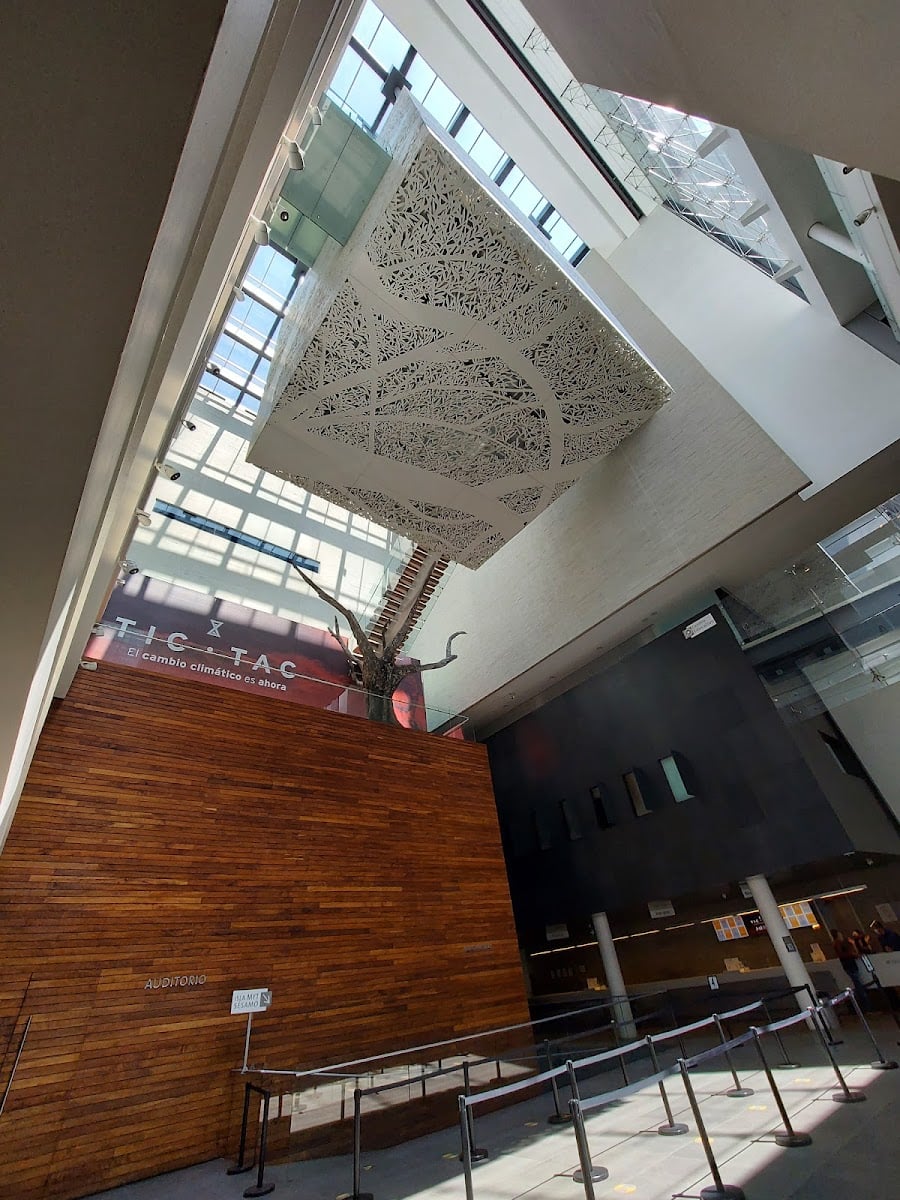 Museo Memoria y Tolerancia