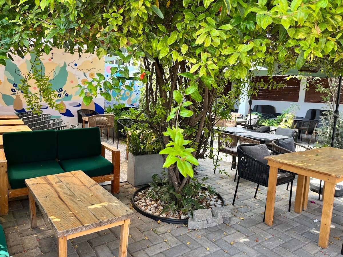 Primor Café