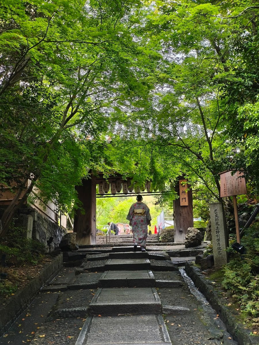 Daidokoro forested slope