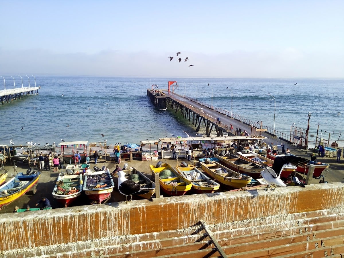 Caleta Diego Portales Valparaíso