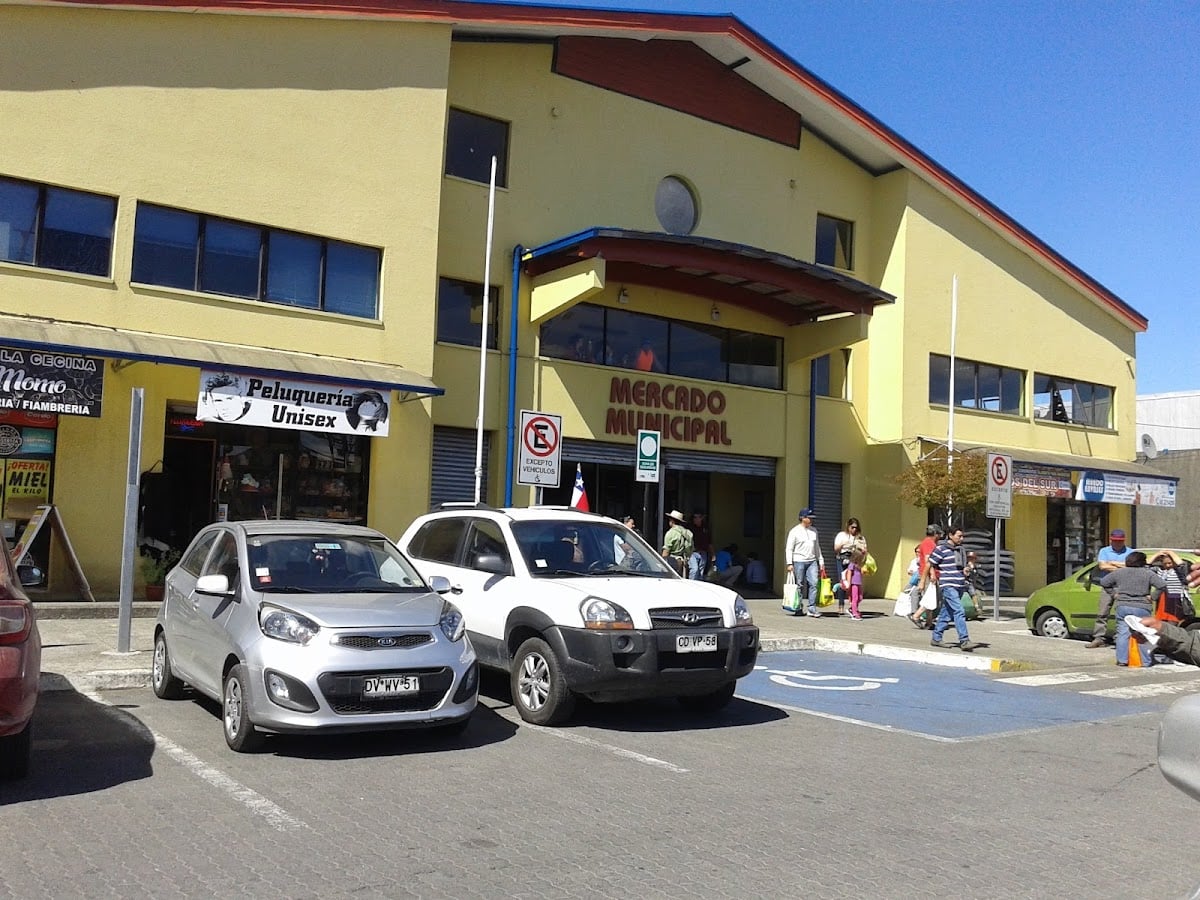 Mercado Municipal Presidente Ibáñez