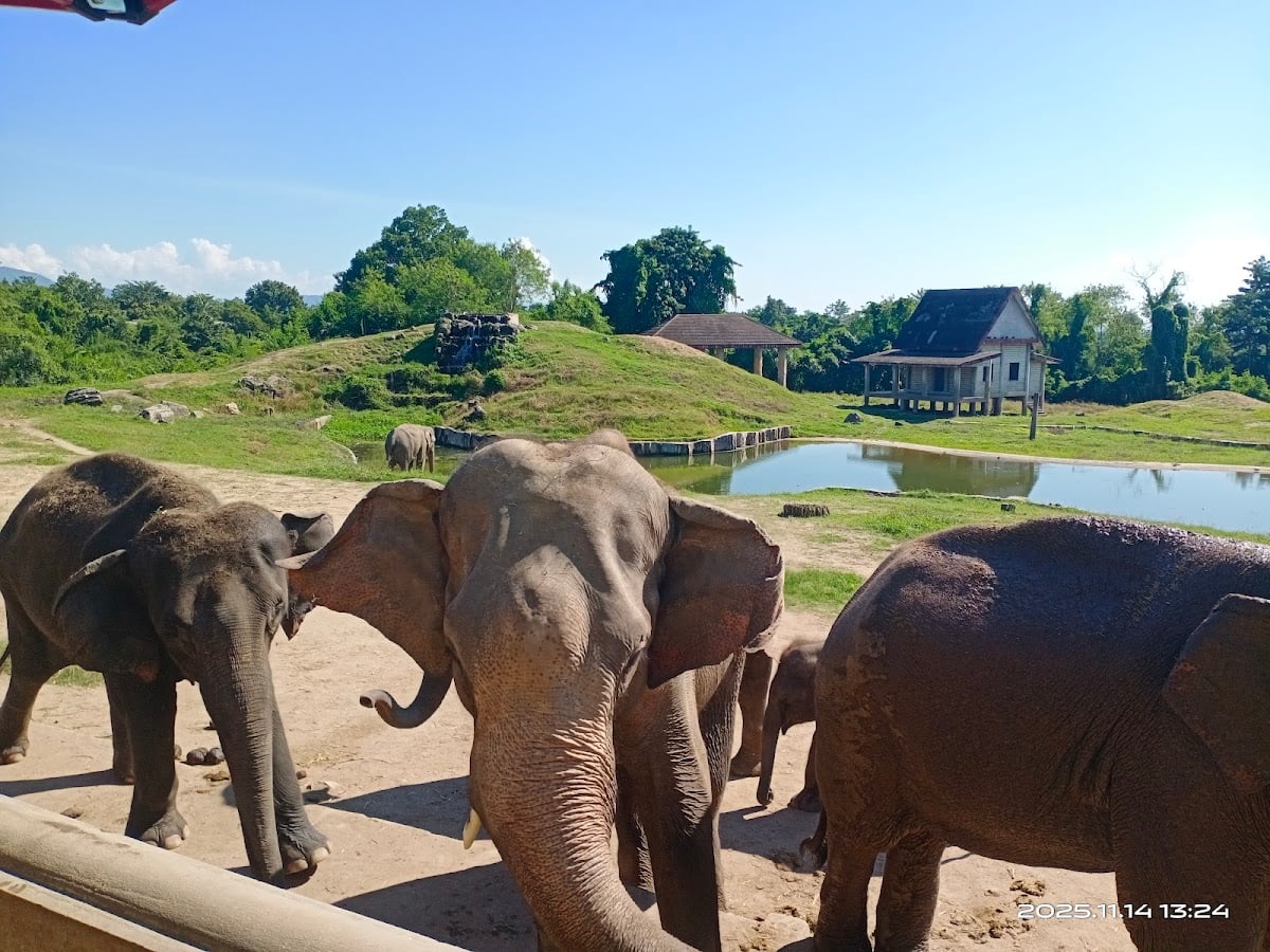 Naypyitaw zoo