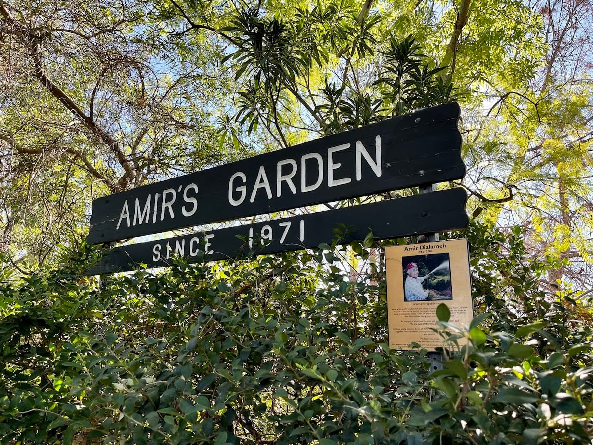 Amir's Garden