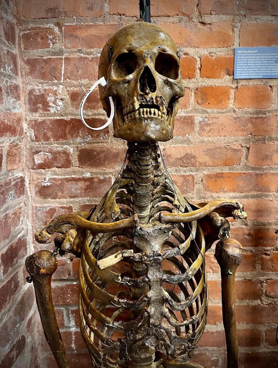 The Bone Museum