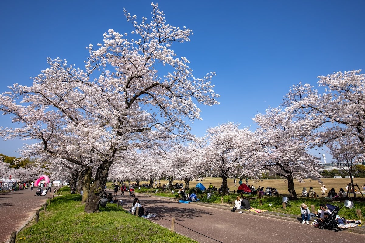 万博記念公園