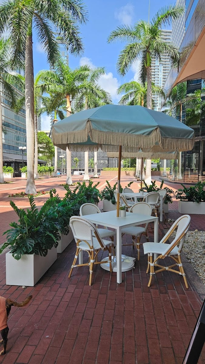 Pura Vida Miami