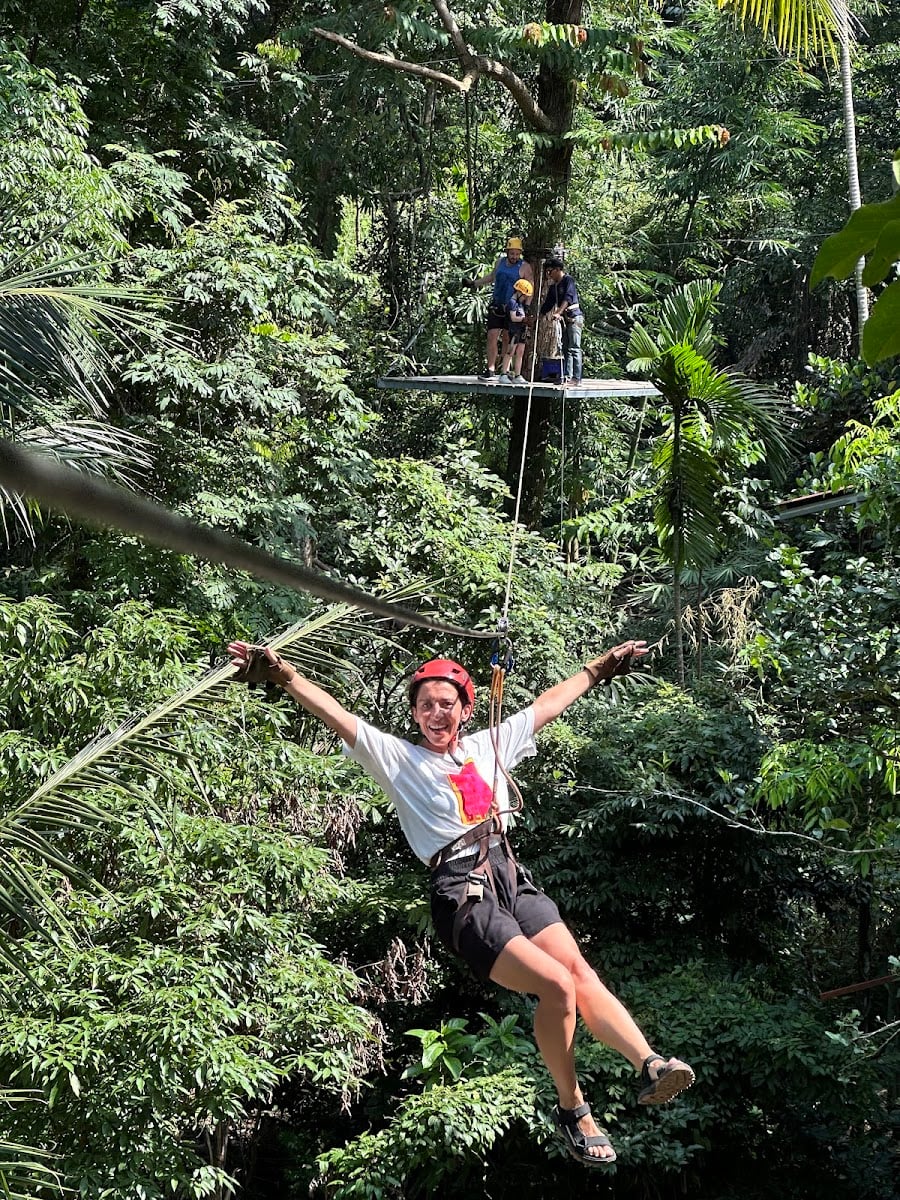Treetop Tour Zipline - Tyrolienne
