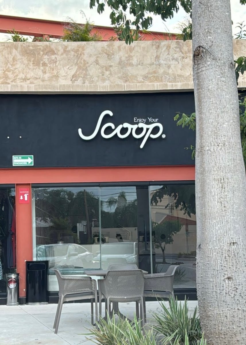 Scoop Mérida