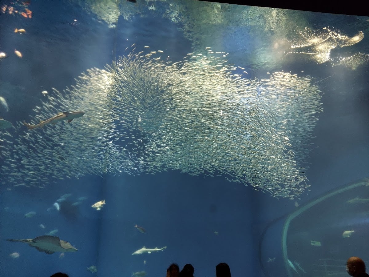 アクアワールド茨城県大洗水族館