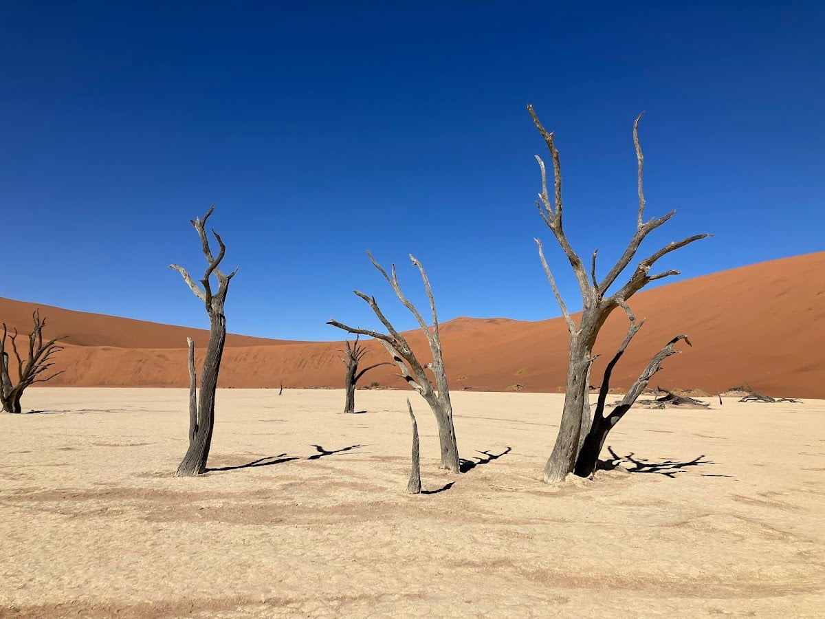 Deadvlei - Namibia