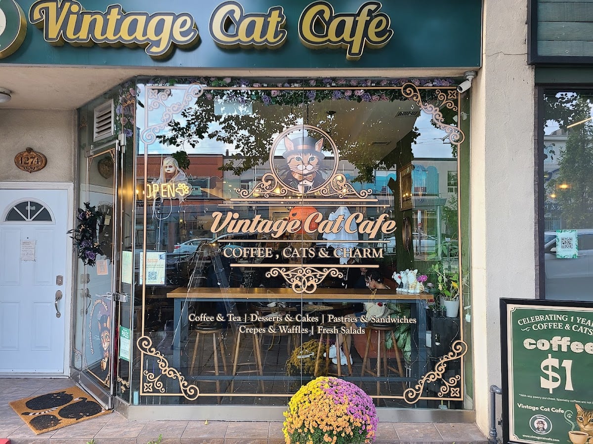 Vintage Cat Cafe Toronto