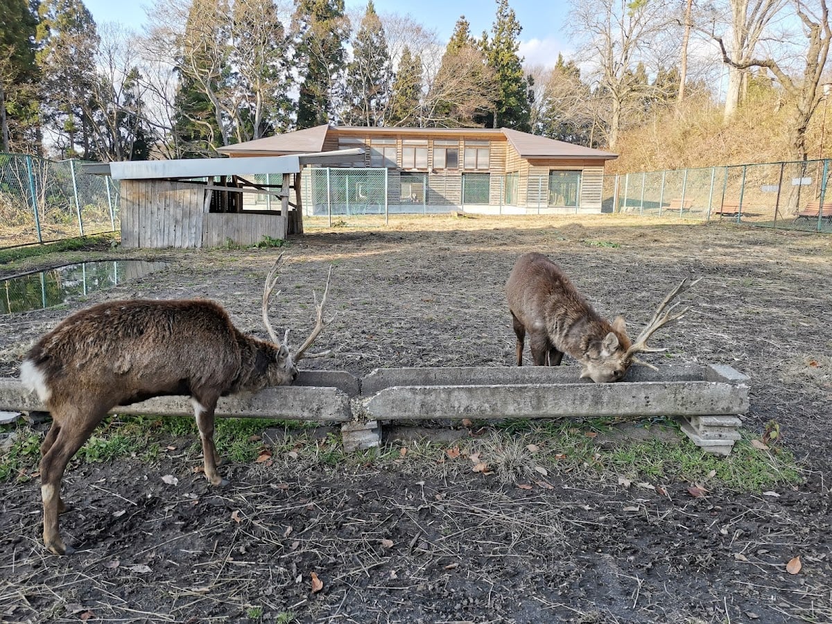 Deer Park