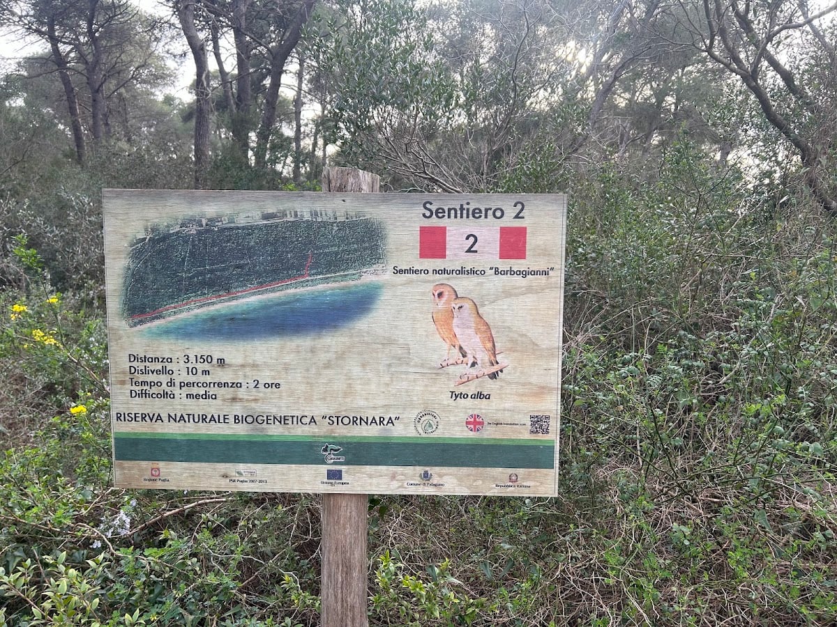 Riserva naturale biogenetica Stornara
