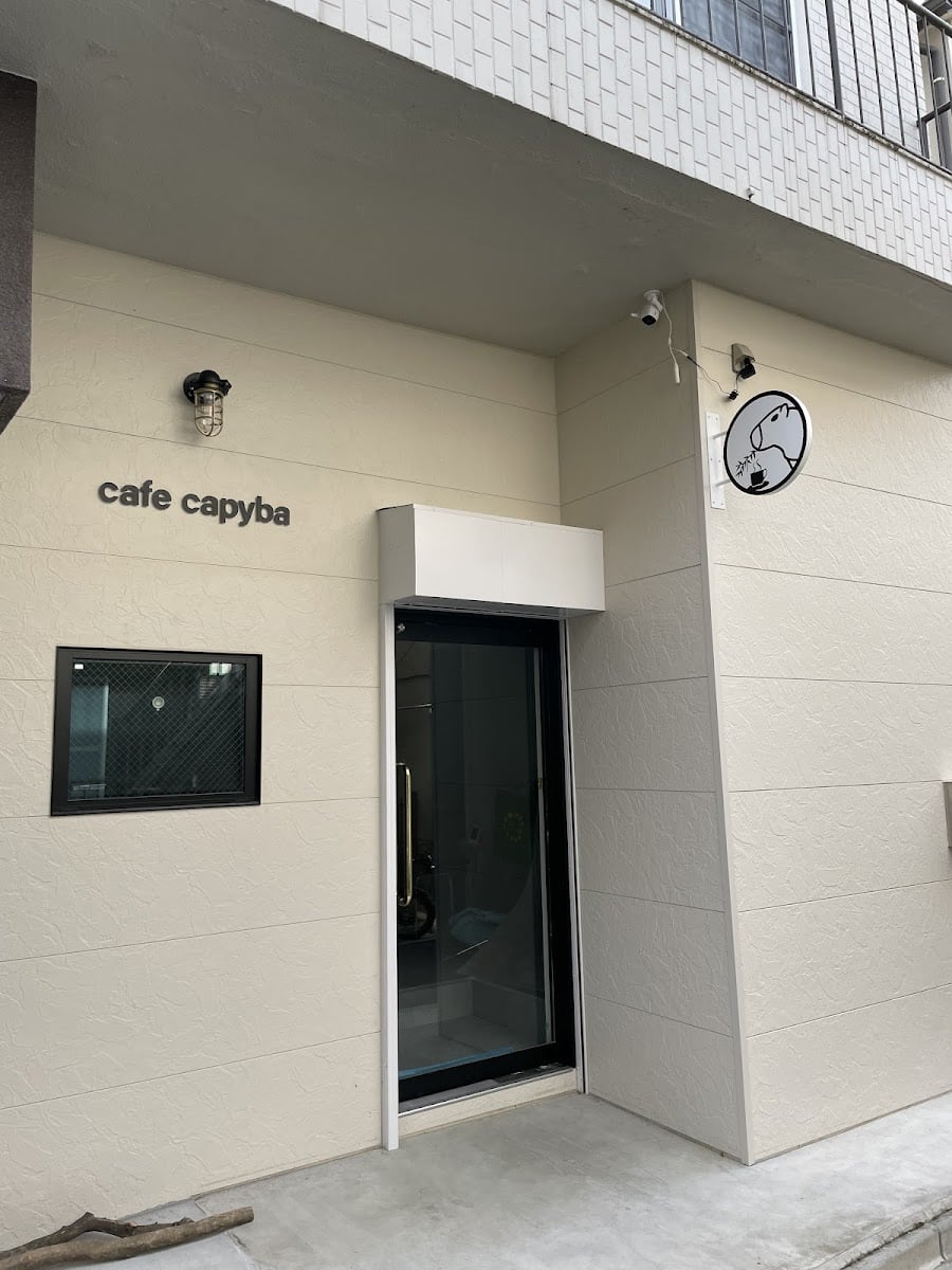 cafe capyba - Coffee + capivara
