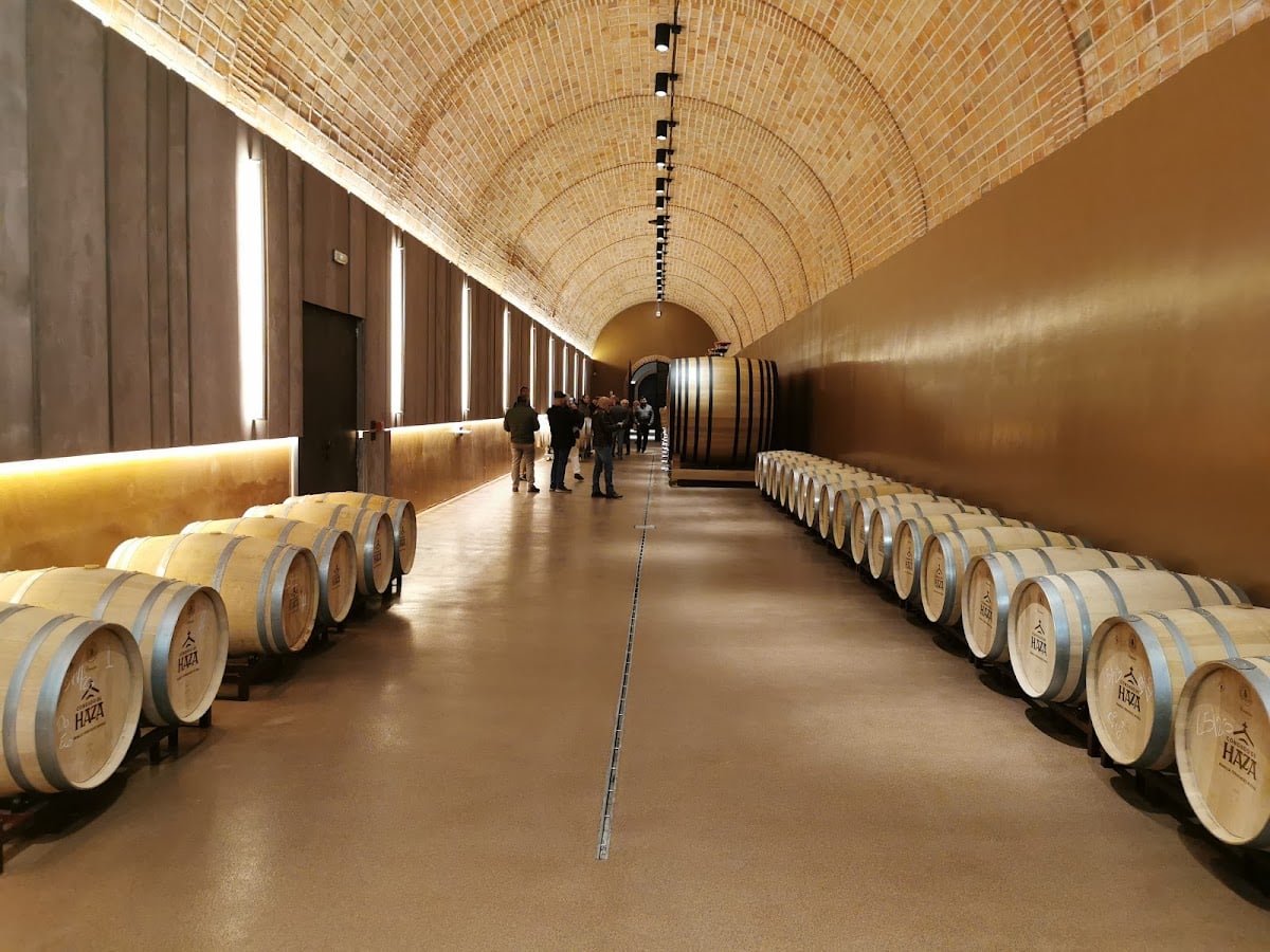 Bodegas Condado de Haza - Fuco Girls 2026