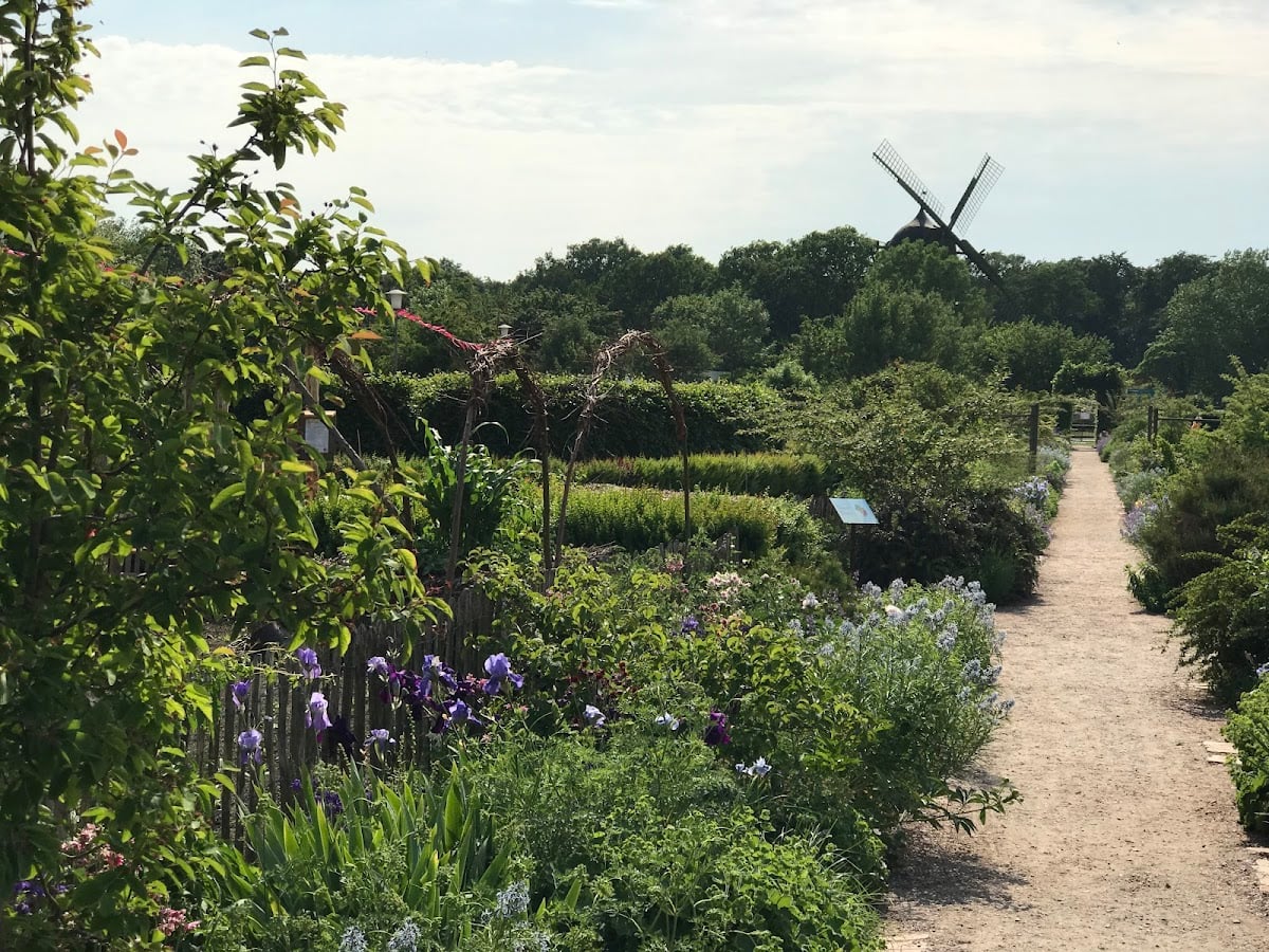 Slottsträdgården