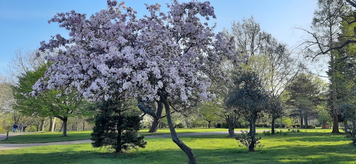 Finsbury Park - Gorgeous park, sometimes has great music festivals
