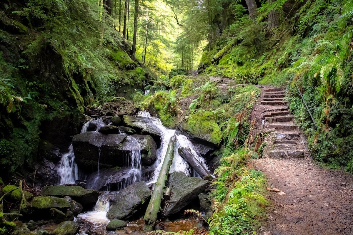 Puck's Glen - Dunoon