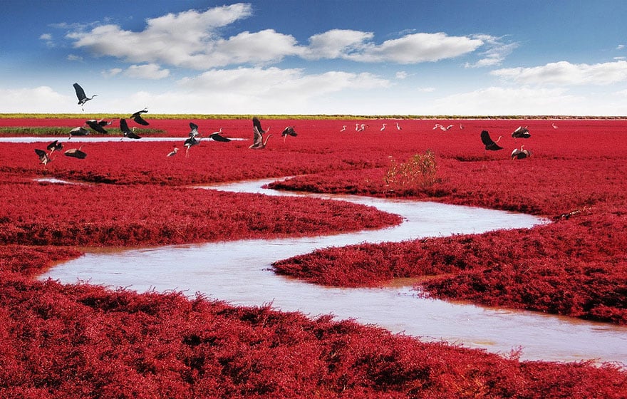 Plage rouge