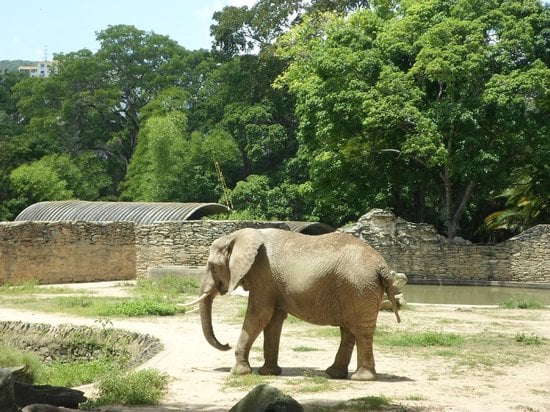 Parque Zoológico Caricuao