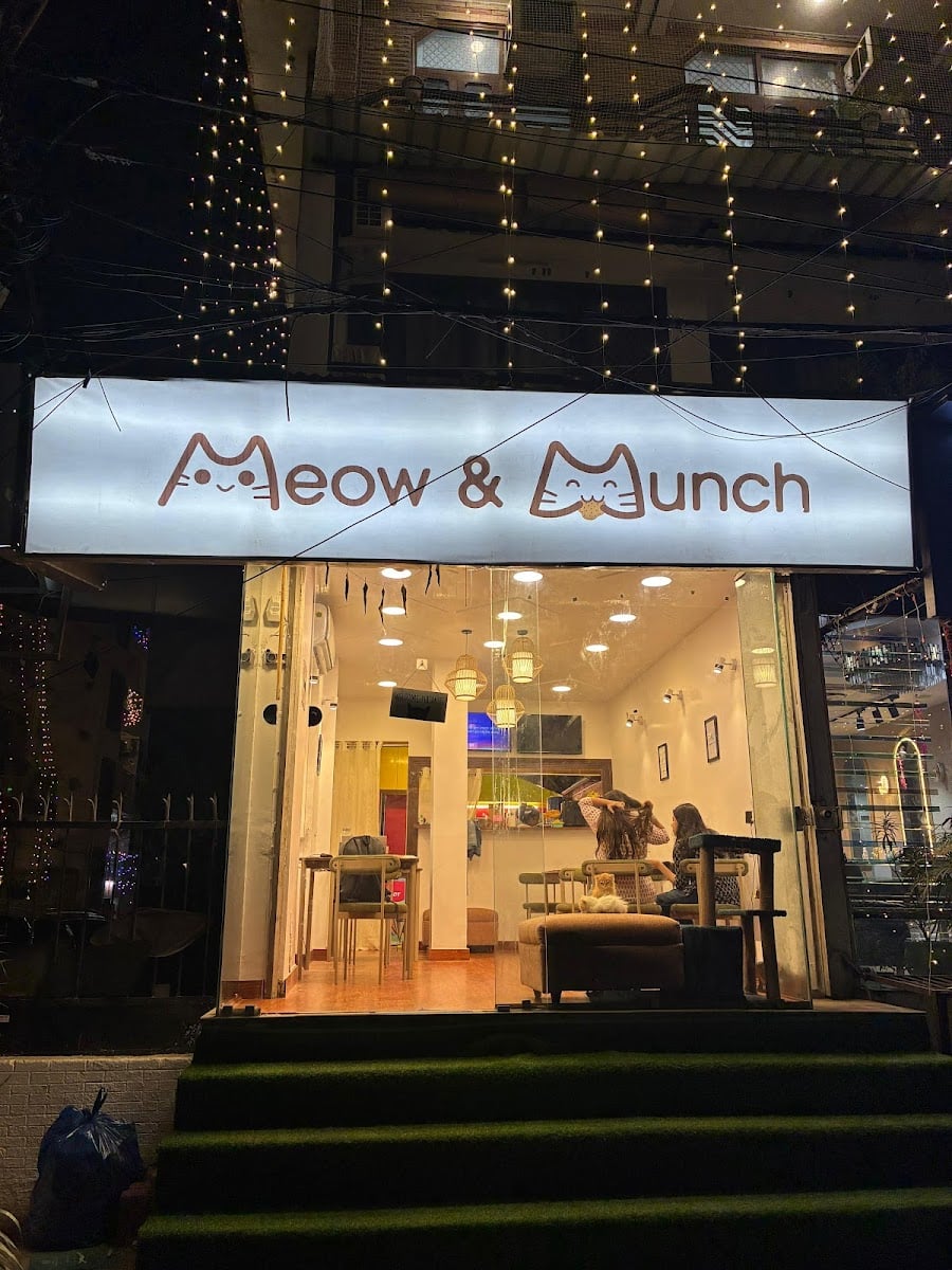 Meow & Munch