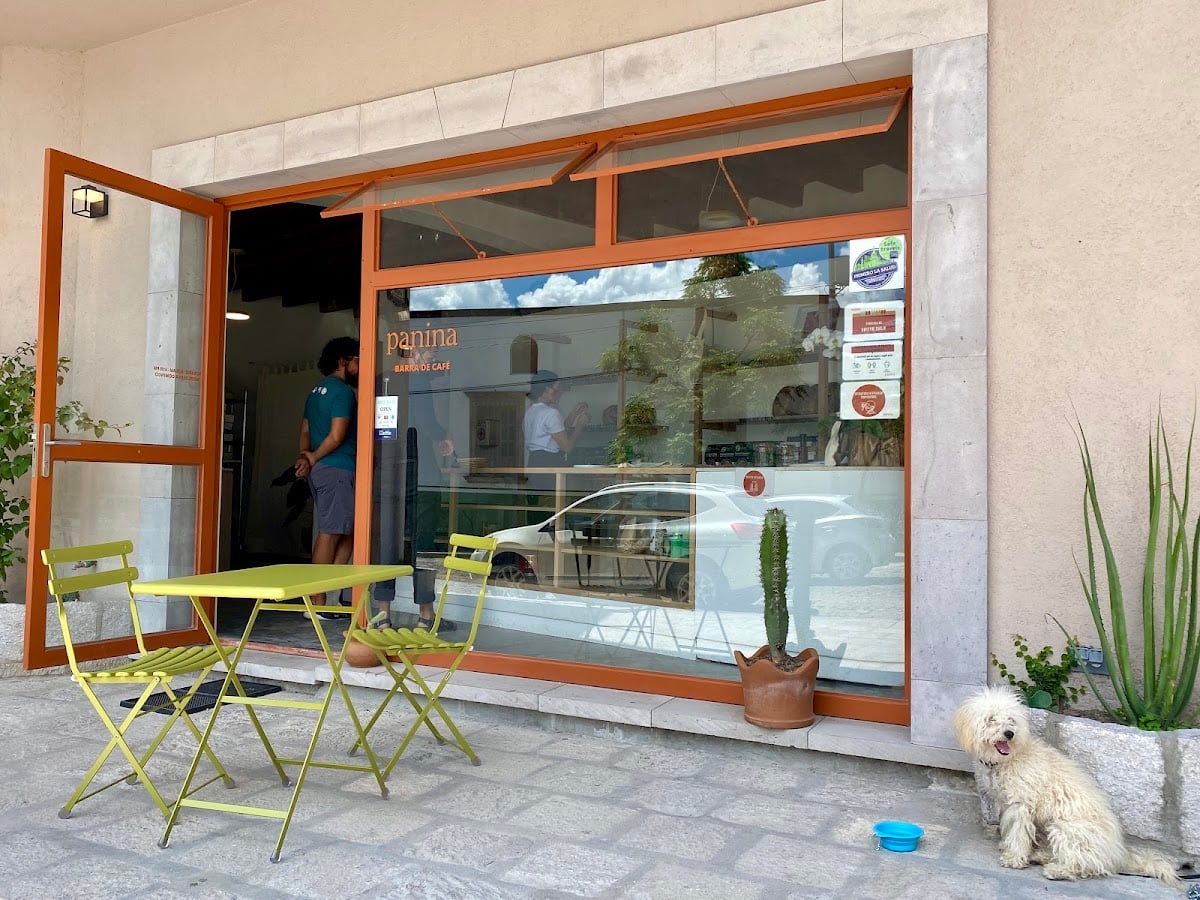 Panina