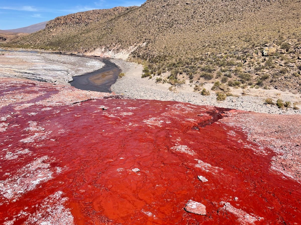 Laguna Roja