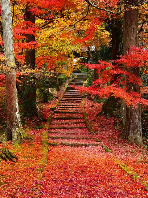 Ryuonji Temple