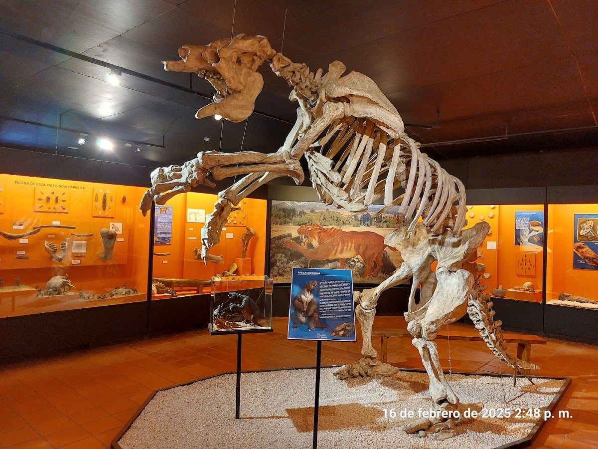 Museo Colchagua