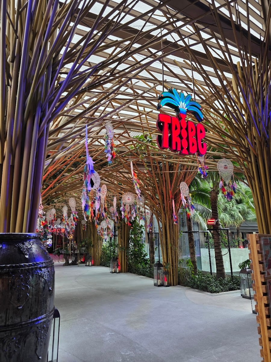 TRIBE Sky Beach Club