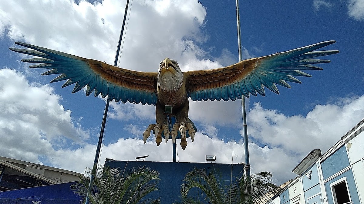 Quadra da Portela