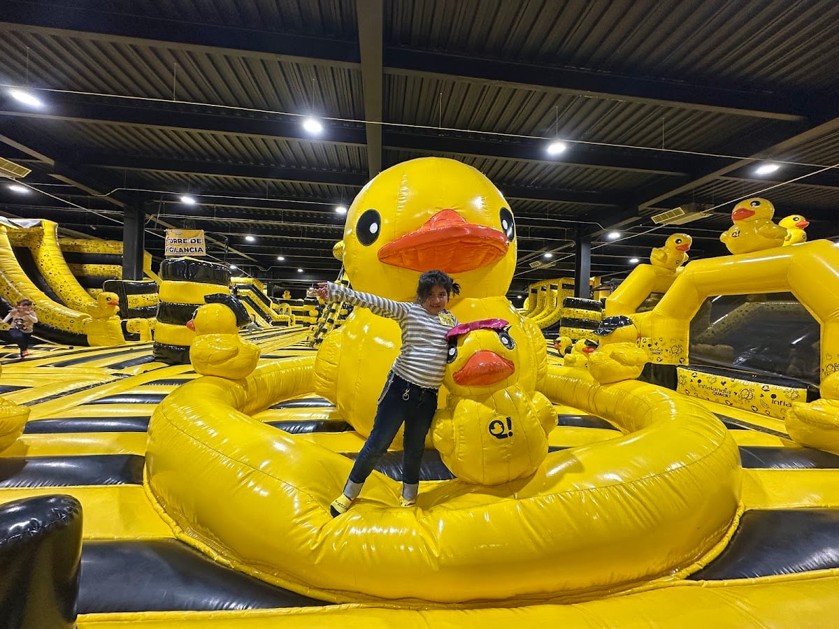 INFLALANDIA QUACK