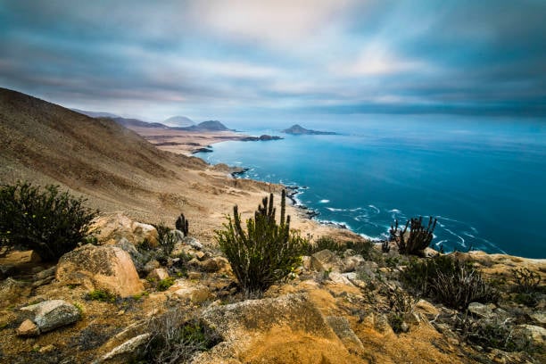 Parque Nacional Pan de Azúcar