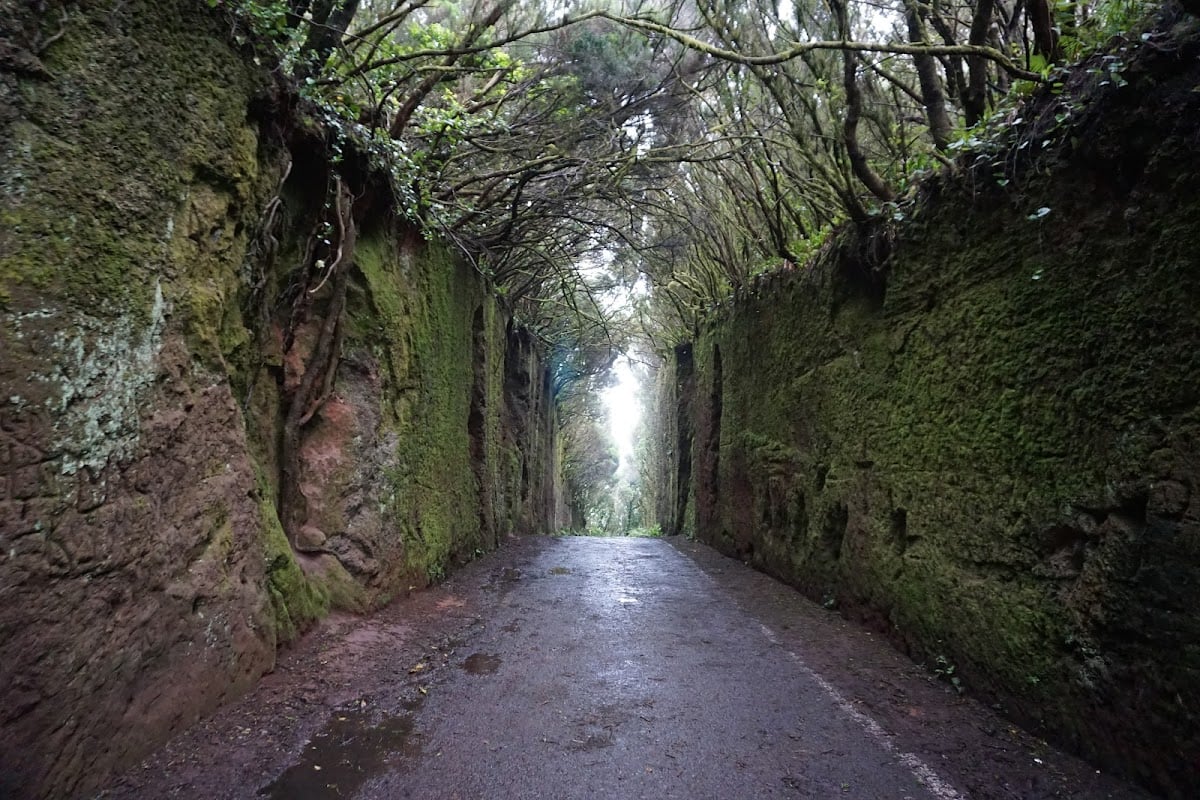 Parc rural d'Anaga - Randonnée au Nord