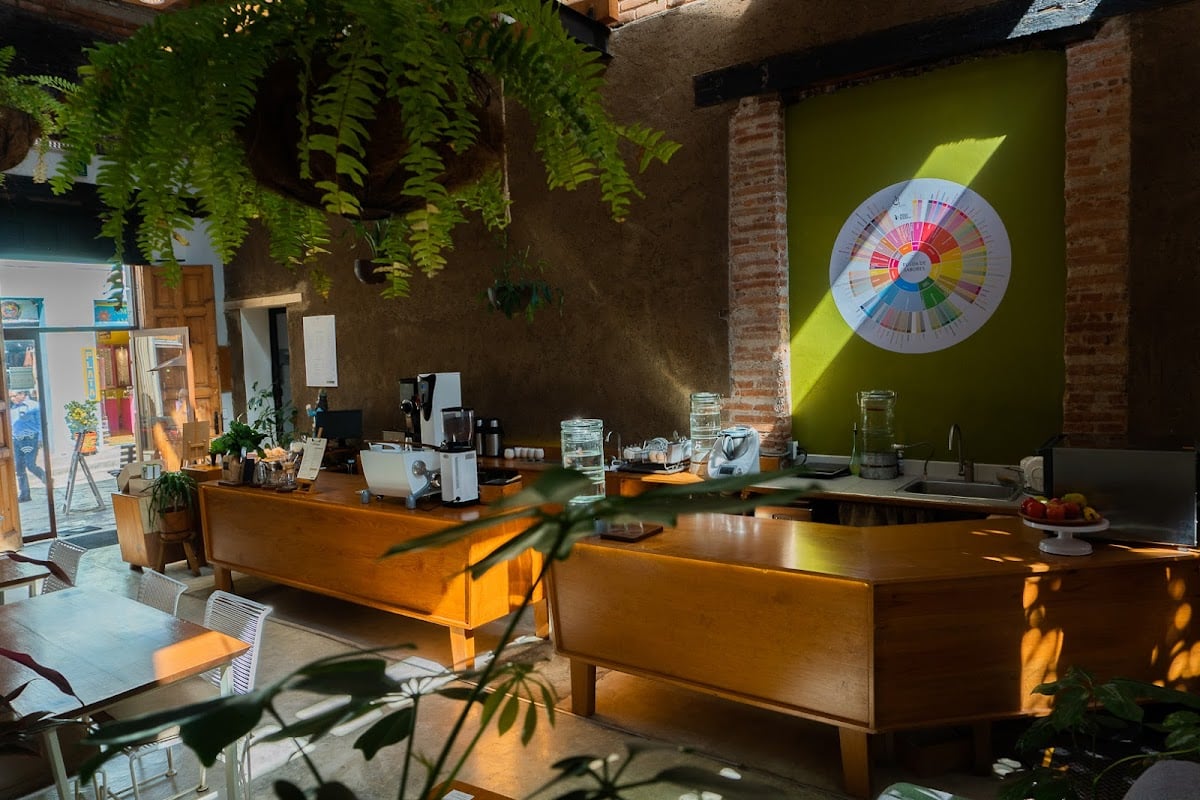 Cafeología