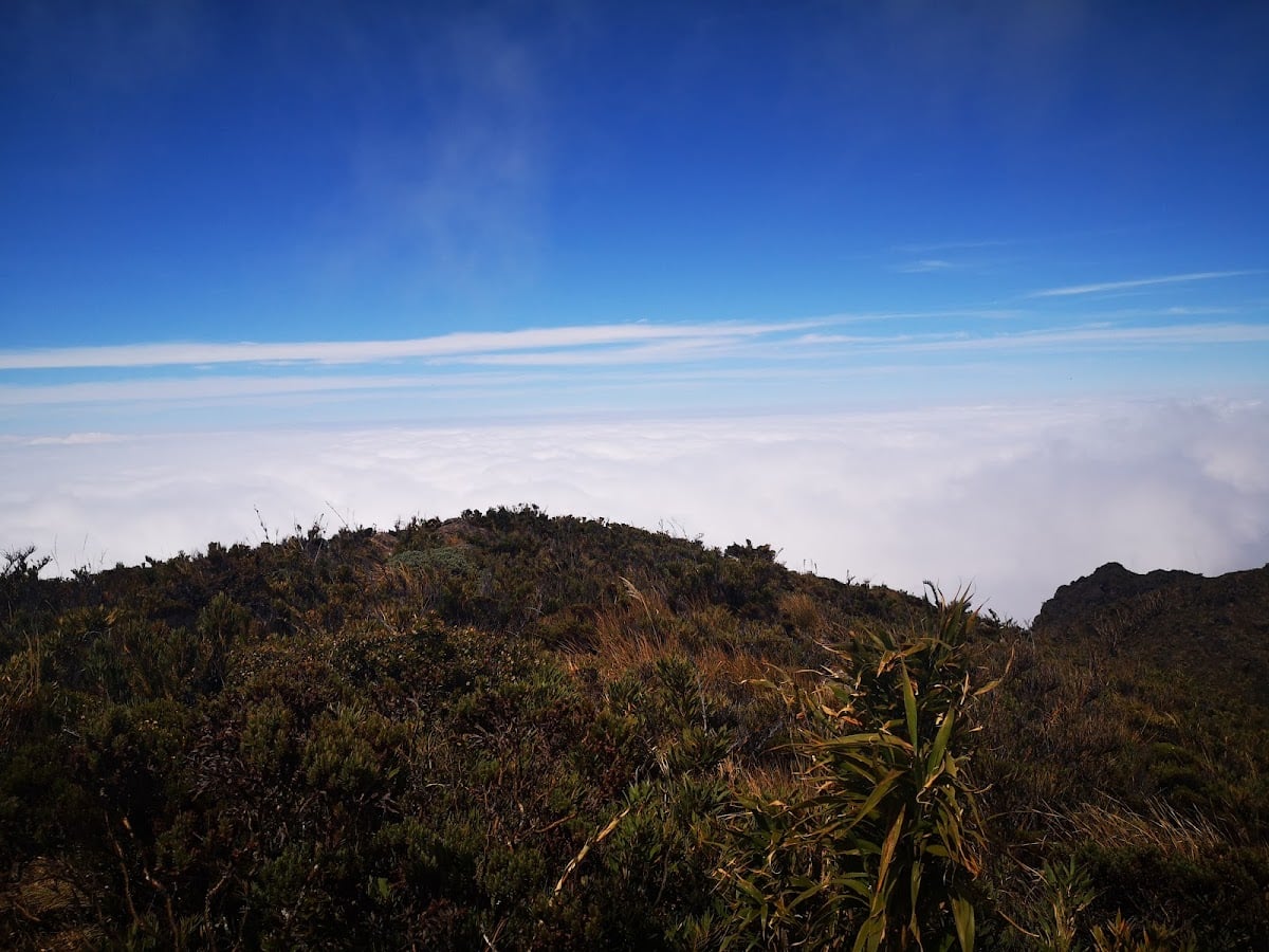 Cerro Kamuk - (Talamanca)