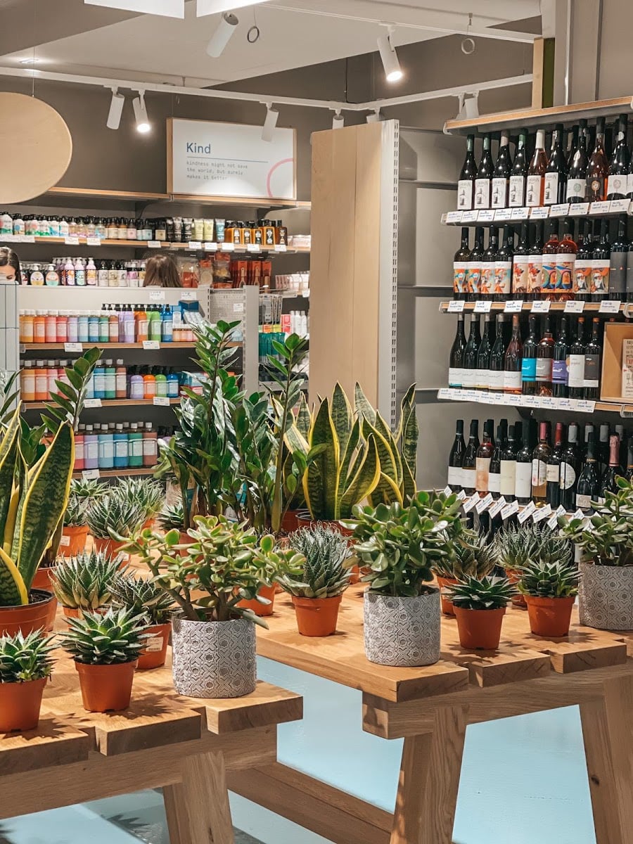 OTOTO Store Amzei