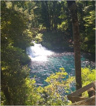 Los Ojos del Caburgua y Laguna Azul